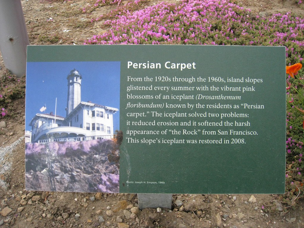 2011 Bay 2 Breakers Saturday 0730.JPG - I was able to participate in the 2011, 100th anniversary of the San Francisco Bay to Breakers 12K race. A great weekend for sight seeing and racing.